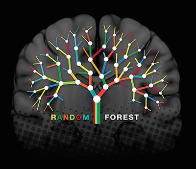 Decision Trees & Random Forest